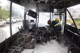 商洛加油站爆料事件视频,真相与争议交织