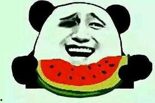吃瓜导师