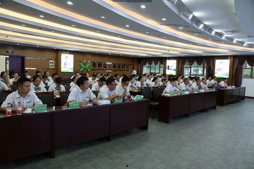 河津福泉新闻头条,福泉新区发展新篇章，河津经济腾飞再加速